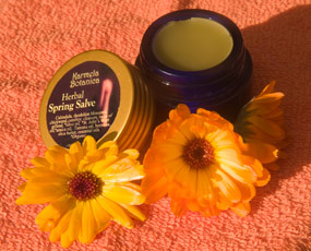 herbal salve